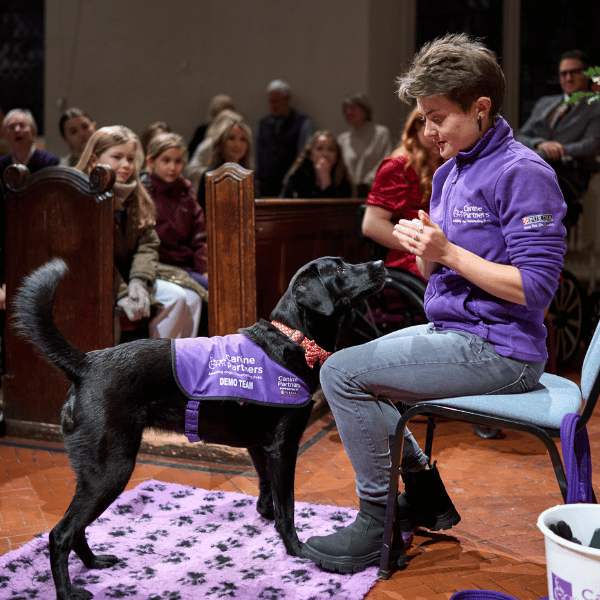 Photo of dog ambassador to Daisie performing her skills with her handler