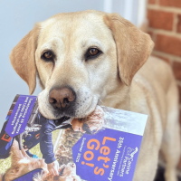 Photo of dog holding let's go in its mouth