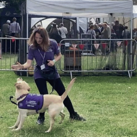 Photo of dog ambassador performing their skills at an event