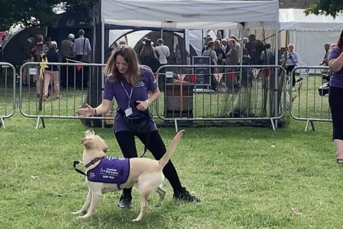 Photo of dog ambassador performing their skills at an event