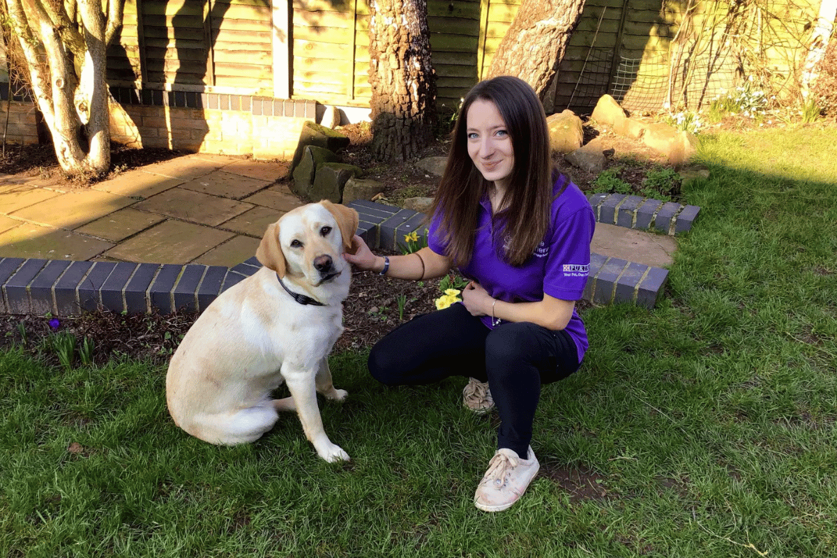 Photo of Labrador and handler sat in the garden