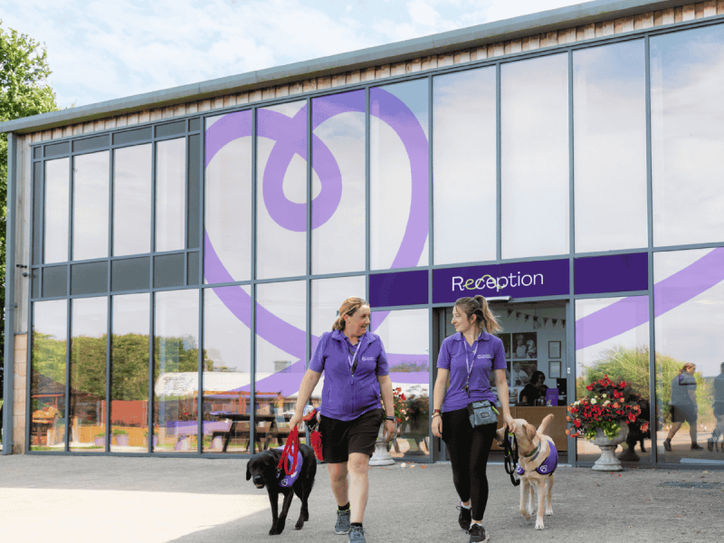 Team members and assistance dogs outside the National Training Centre Reception
