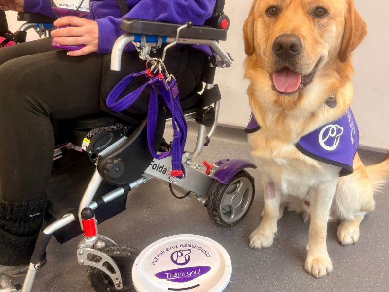Photo of dog sat next to wheelchair with collection tin pot