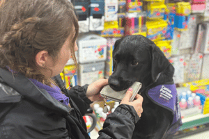 Photo of assistance dog holding purse in her mouth being trained by a trainer
