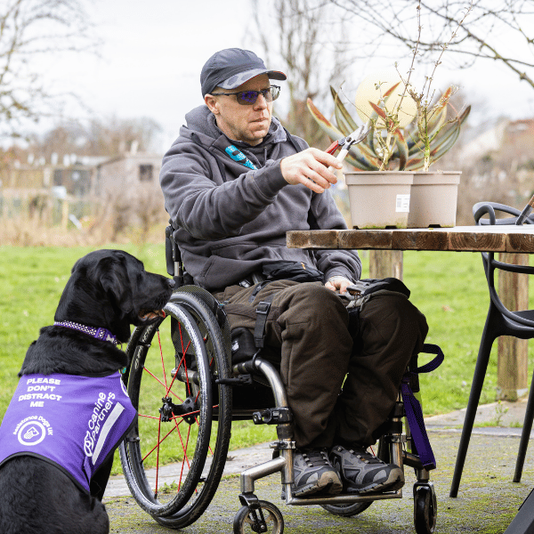 Photo of partner cutting his plants with black Labrador sat by his side