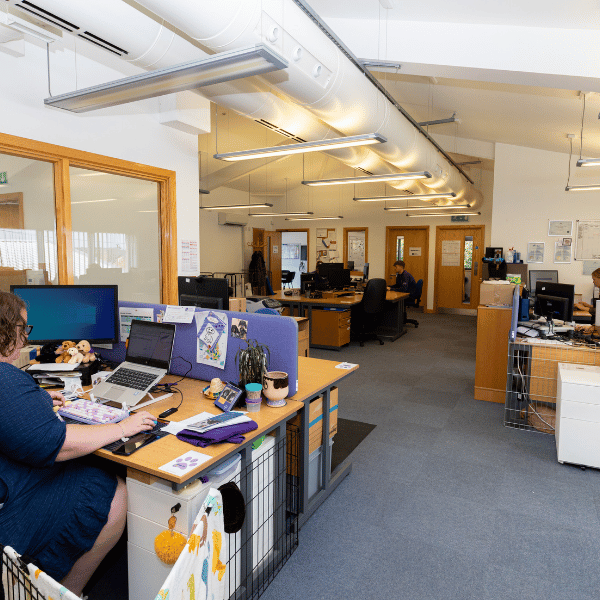 Office workspace at the National Training Centre