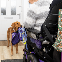 Photo of assistance dog holding jacket in mouth giving the jacket to a partner in a wheelchair
