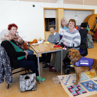Photo of group of people playing board games with lady in wheelchair and her assistance dog by her side in her purple jacket