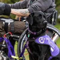 Photo of black Labrador and purple jacket sat by wheelchair