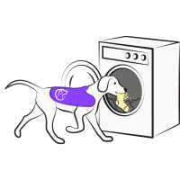 Illustration of dog putting sock in washing machine