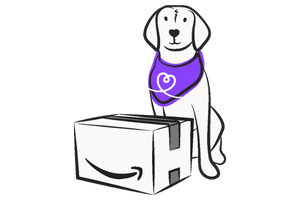 Illustration of dog in bandanna sat behind an Amazon box