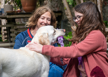 Photo of child and adult interacting with yellow lab with a toy in its mouth