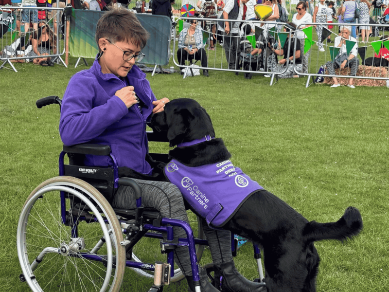 Canine Partners Dog Ambassador Team member demonstrating with their black Labrador Dog Ambassador