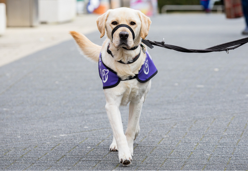 Photo of Eddie walking in the street with his purple jacket on