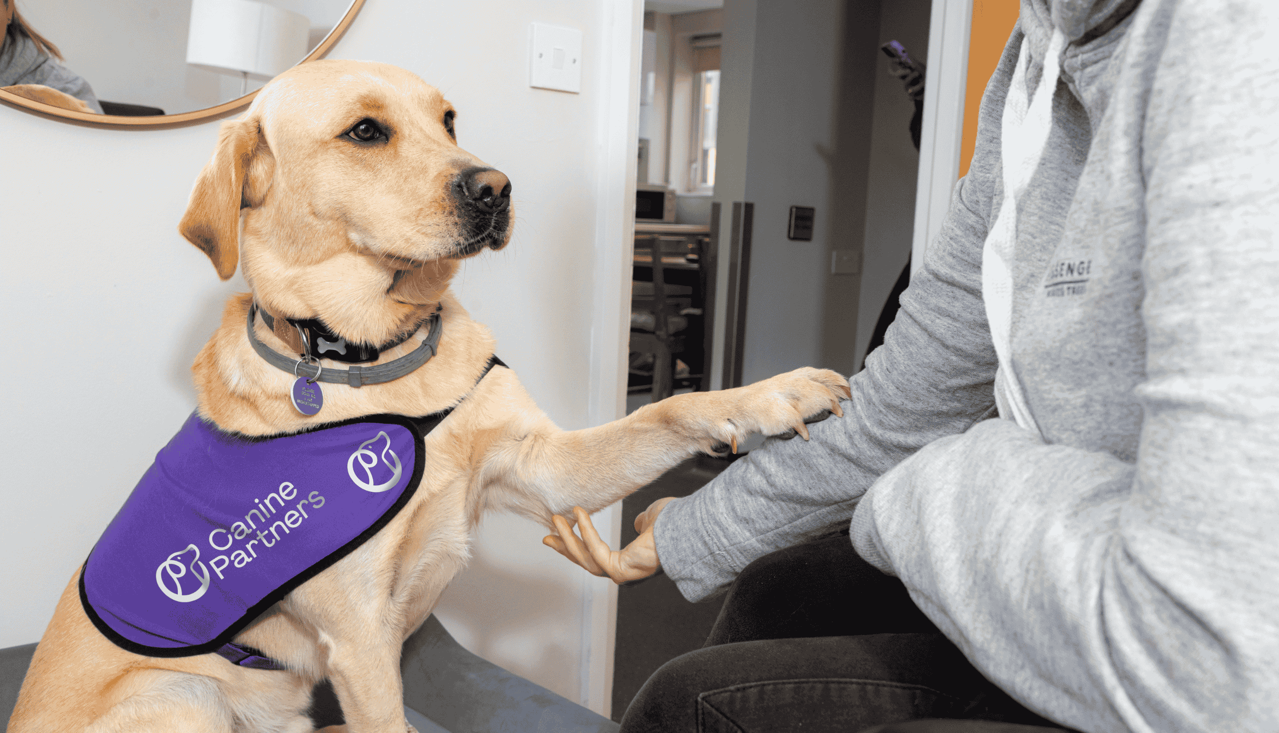 Photo of dog offering its poor to person in a purple came and Partners jacket