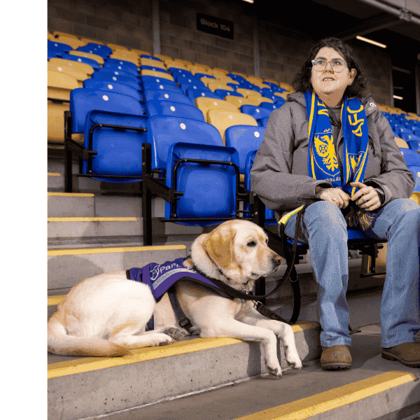 Photo of assistance, dog and partner sat in football stadium