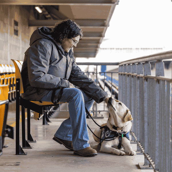 Photo of assistance dog lying down in front of a partner who sat in a football stadium