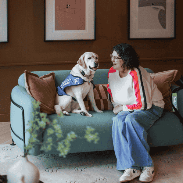Photo of assistance dog sat on sofa next to his partner