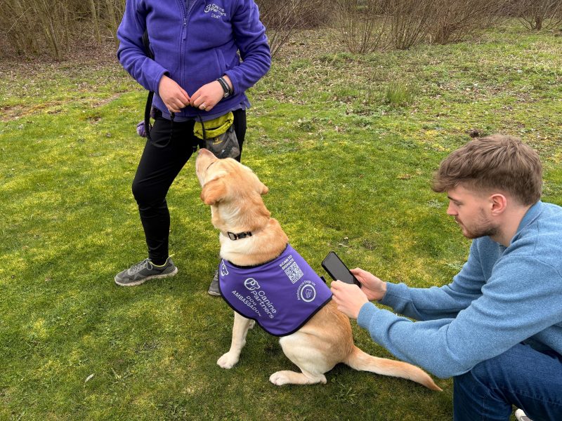Photo of man scanning dogs jacket QR code to donate to Canine Partners